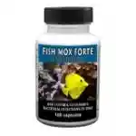 Fishmoxfishflex